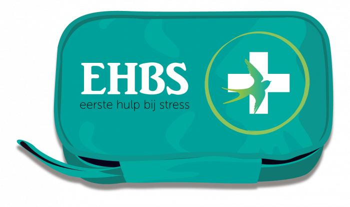 EHBS-Toolkit